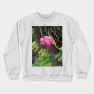 Rosebud Crewneck Sweatshirt